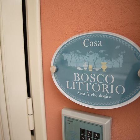 Le Dimore Di Ulisse A Gela - Casa Vacanze B&B - Bosco Littorio - Area Archeologica 外观 照片